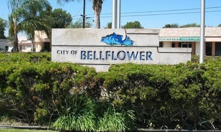 Bell-Flower